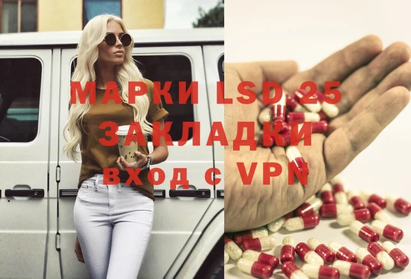 ГАЛЛЮЦИНОГЕННЫЕ ГРИБЫ Арсеньев