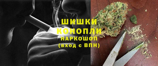ГАЛЛЮЦИНОГЕННЫЕ ГРИБЫ Арсеньев