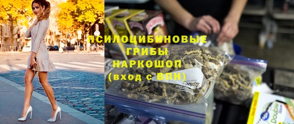 ГАЛЛЮЦИНОГЕННЫЕ ГРИБЫ Арсеньев